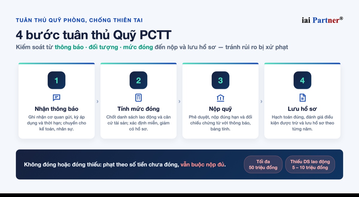 Infographic 4 bước tuân thủ và mức phạt Quỹ Phòng, chống thiên tai